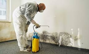 Best Mold Removal for HVAC Installations  in Christmas, FL